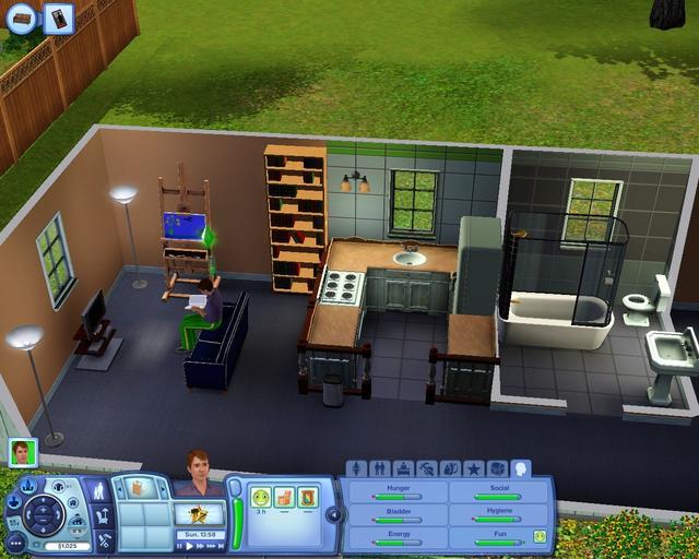 The Sims 3 is built upon the same concept as its predecessors. Players control their own Sims' activities and relationships in a manner similar to real life. The game play is open-ended and does not have a defined goal. Challenges occur randomly based on aspects of each Sim's lifestyle, such as relationships, skills and job. Career opportunities such as working overtime or completing special tasks can yield a pay raise, cash bonus, or relationship boost. Skill opportunities are requests by neighbors or community members for Sims to solve problems using their acquired skills for cash or relationship rewards. If the opportunity is connected to a Sim's school, the reward may be increased school performance.

The new reward system Wishes replaces the Wants And Fears system in its predecessor The Sims 2. Fulfilling a Sim's wish contributes to the Sim's Lifetime Happiness score, allowing players to purchase lifetime rewards for the cost of those Lifetime Happiness points.

The game includes an optional feature called "Story Progression" which allows all Sims in the neighborhood to autonomously continue free will without the player ever controlling those Sims. Sims live for a set duration of time that is adjustable by the player and advance through several life stages (baby, toddler, child, teen, young adult, adult, and elder). Sims can die of old age or they can die prematurely from causes such as fire, starvation, drowning, electrocution. Further causes of death were added in the game's expansion packs. (from Wikipedia)